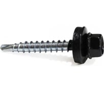 Саморез Haupt 4,8x29 мм, крашеный, 250 шт., чёрный (RAL 9005) 4673761657033