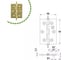 Петля Amig латунь полиров. универс. 1003-50х40 4
