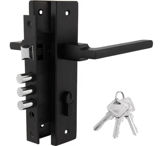 Дверной комплект PALIDORE LHS 6237-220, 3 ключа, Black 98761524