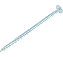 Саморез с прессшайбой ЖЕСТЬ острый, 4,2x75 мм, 6 шт., европодвес УТ-00009839