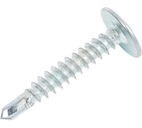 Саморез с прессшайбой ЖЕСТЬ сверло, 4,2x25 мм, 12 шт., европодвес УТ-00004585