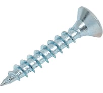 Саморез универсальный ЖЕСТЬ белый цинк, 4x25 мм, 200 шт., контейнер 280 мл УТ-00003165