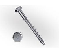 Болт сантехнический ЖЕСТЬ DIN 571, 10x70 мм, 14 шт., контейнер 280 мл УТ-00010388