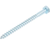 Болт сантехнический ЖЕСТЬ DIN 571, 10x120 мм, 2 шт., европодвес УТ-00004617