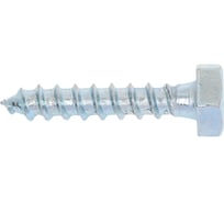 Болт сантехнический ЖЕСТЬ DIN 571, 10x50 мм, 2 шт., европодвес УТ-00005805