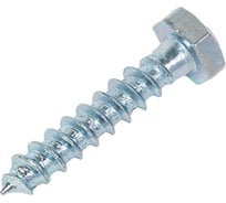 Болт сантехнический ЖЕСТЬ DIN 571, 6x30 мм, 6 шт., европодвес УТ-00009835