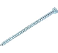 Болт сантехнический ЖЕСТЬ DIN 571, 6x100 мм, 2 шт., европодвес УТ-00004624