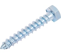 Болт сантехнический ЖЕСТЬ DIN 571, 8x50 мм, 2 шт., европодвес УТ-00004638