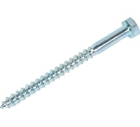 Болт сантехнический ЖЕСТЬ DIN 571, 8x100 мм, 2 шт., европодвес УТ-00004633