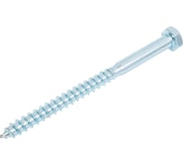 Болт сантехнический ЖЕСТЬ DIN 571, 12x160 мм, 2 шт., европодвес УТ-00005914