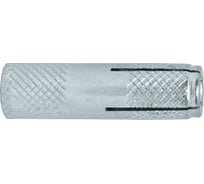 Анкер забивной ЖЕСТЬ оцинк., М12, 2 шт., европодвес УТ-00002256