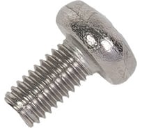 Винт ЖЕСТЬ DIN 7985, М5x10 мм, А2, 10 шт., европодвес УТ-00001917