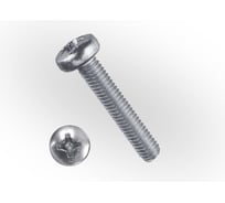 Винт ЖЕСТЬ DIN 7985, цинк, M5x10 мм, 14 шт., европодвес УТ-00009859