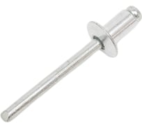 Заклепки вытяжные ЖЕСТЬ ал/ст, 4,8x8 мм, 100 шт., контейнер 280 мл УТ-00002301