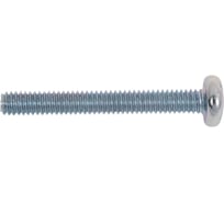 Винт ЖЕСТЬ DIN 7985, цинк M4x30 мм, 14 шт., европодвес УТ-00009842