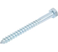 Болт сантехнический ЖЕСТЬ DIN 571, 12x120 мм, 2 шт., европодвес УТ-00010376