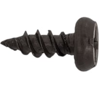Саморез ЖЕСТЬ "клоп", острый, черный, 3,5x9,5 мм, 50 шт., европодвес УТ-00002406