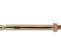 Анкерный болт Tech-Krep HNM 10х150 с 6-ти гр. гайкой 40 шт УТ-00012215