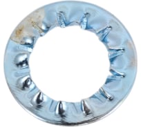 Шайба зубчатая ЖЕСТЬ DIN 6798J, внутренние зубья, цинк, М10, 6 шт., европодвес УТ-00011897
