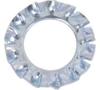 Шайба зубчатая ЖЕСТЬ DIN 6798А, наружные зубья, цинк, М8, 50 шт., коробка УТ-00011962