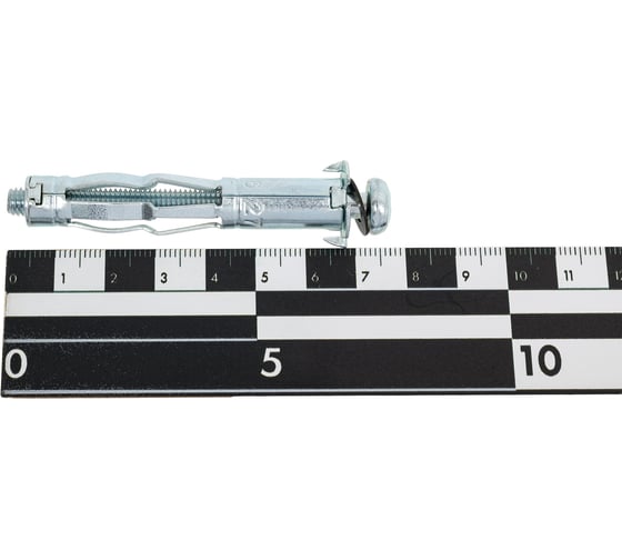 Дюбель ЖЕСТЬ MOLLY М6x65 мм, 2 шт., европодвес УТ-00012407