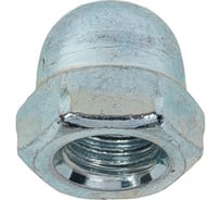 Гайка колпачковая ЖЕСТЬ DIN 1587, М10, 2 шт., европодвес УТ-00002063