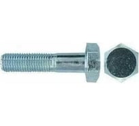 Болт ЦКИ ГОСТ 7796-70, М10x25 мм, 8.8, Ц, 50 шт. 59126