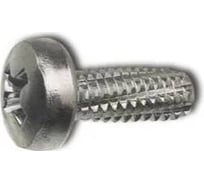 Винт ЦКИ DIN7516DE, резьбонарезающий, М3x10 мм, цинк, TX 10, 200 шт. 53026