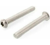 Винт ЦКИ ISO7380, М2x8 мм, A2, TX 6, 50 шт. 76344