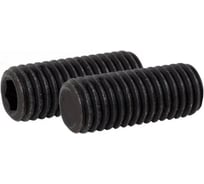 Установочный винт ЦКИ DIN913, М10x90 мм, 45H ОКС, HEX 5.0, 2 шт. 43610