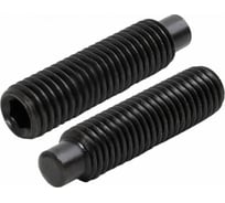 Установочный винт ЦКИ DIN915, М16x70 мм, 45H ОКС, HEX 8.0, 2 шт. 51554