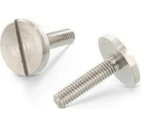 Винт ЦКИ DIN921, М6x25 мм, A1, 5 шт. 23336
