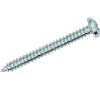 Саморез ЦКИ DIN7981 2.9x6.5 мм, остроконечный, Ц, TX 8, 200 шт. 35497