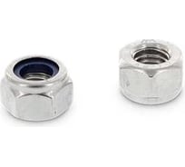 Гайка самоконтр. ЦКИ DIN982 М10x1.25 высокая 10, Ц, SW 17, 5 шт. 83211