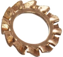 Шайба стопорная ЦКИ DIN6798 A М 5, зубчатая, бронза 50 шт. 35850