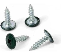 Саморез крашеный с пресс-шайбой Квадра острый конец, 4.2 x 16, RAL 6005, уп. 20 шт. 600516120812