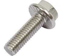 Болт DINFIX DIN 6921 с шестигранной головкой с фланцем с зазубринами 5x12 А2 нержавеющая сталь, 10 шт. 00-0005198