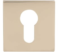 Накладки под цилиндр, золото Vantage ET04PB SL