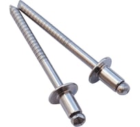 Заклёпка вытяжная Daxmer 4,8x21x14 мм, увеличенный борт, сталь/сталь, 200 шт. 00000320982