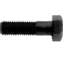 Болт ЦКИ ГОСТ32484.3 M27x120 мм, 10.9, ХЛ, 1 шт. 80643