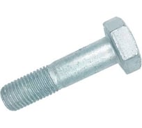 Болт ЦКИ ГОСТ32484.3 M20x95 мм, 10.9, ХЛ, 2 шт. 86076