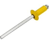 Заклёпка вытяжная Daxmer 3,2x8 мм, RAL 1018, алюм/ст., 1000 шт. 00000317130