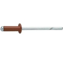 Заклёпка вытяжная Daxmer 4,0x10 мм, RAL 6029, алюм/ст., 1000 шт. 00000310348