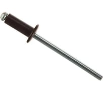 Заклёпка вытяжная Daxmer 4,0x10 мм, RAL 8017, алюм/ст., 750 шт. 00-00452653