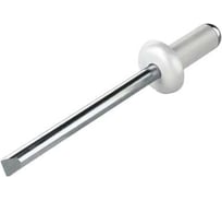 Заклёпка вытяжная Daxmer 4,0x10 мм, RAL 1035, алюм/ст., 1000 шт. 00000348857