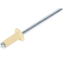 Заклёпка вытяжная Daxmer 4,0x10 мм, RAL 1015, алюм/ст., 1000 шт. 00000310345