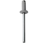 Заклёпка вытяжная Daxmer 4,0x10 мм, RAL 9006, алюм/ст., 1000 шт. 00-00453581
