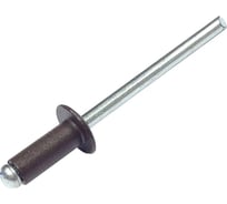Заклёпка вытяжная Daxmer 4,0x10 мм, RAL 8004, алюм/ст., 1000 шт. 00000330807