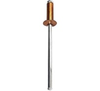 Заклёпка вытяжная Daxmer 4,0x10 мм, RAL 1036, алюм/ст., 1000 шт. 00000348858