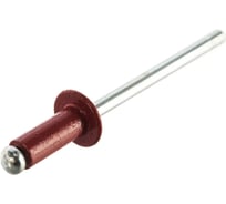 Заклёпка вытяжная Daxmer 4,0x10 мм, RAL 3003, алюм/ст., 1000 шт. 00000312693
